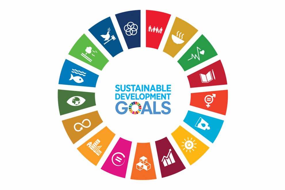 Nine23's Commitment to the UN Sustainable Development Goals